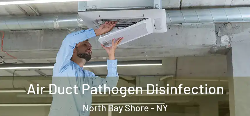  Air Duct Pathogen Disinfection North Bay Shore - NY