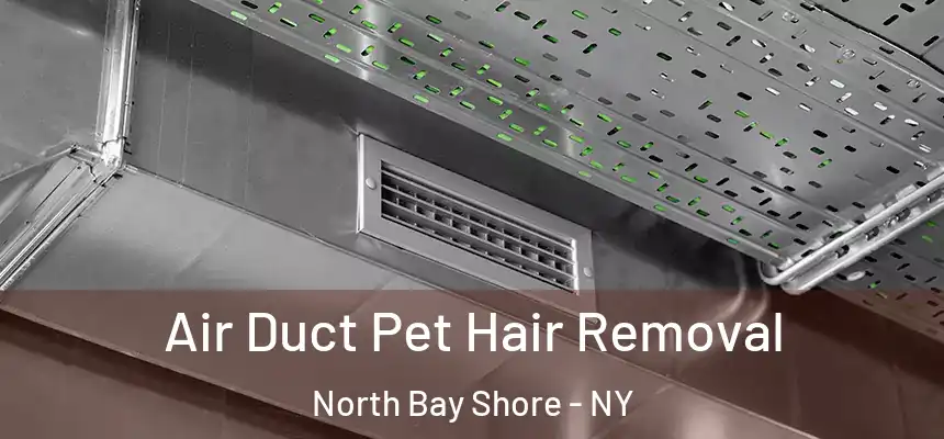 Air Duct Pet Hair Removal North Bay Shore - NY