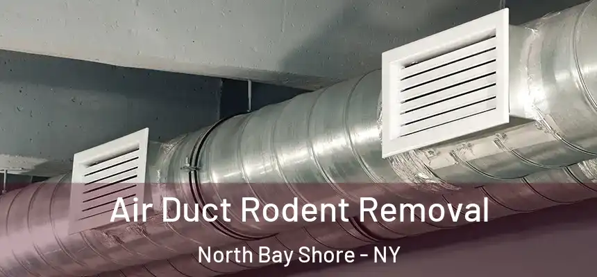  Air Duct Rodent Removal North Bay Shore - NY
