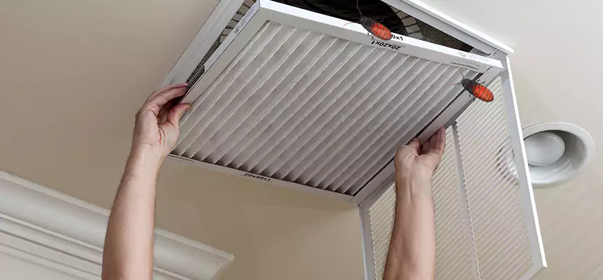 Preventive Cockroach-Proofing for Ducts in North Bay Shore