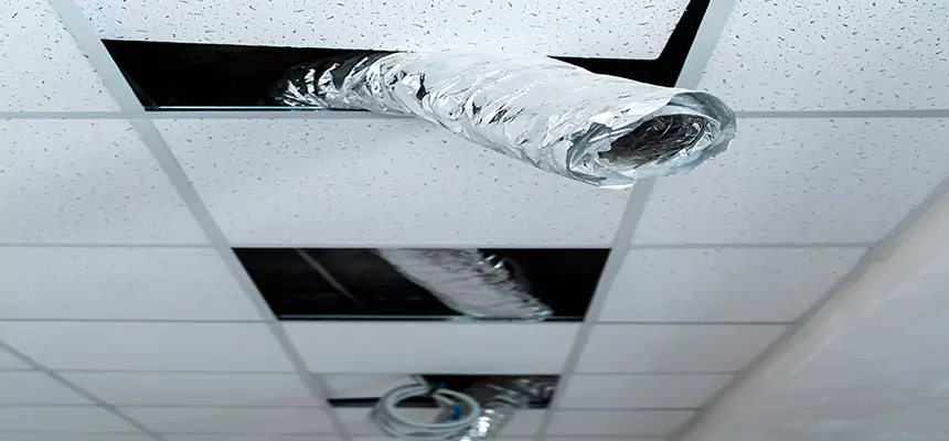 Affordable HVAC Sanitizing After Pest Removal in North Bay Shore