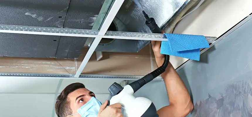 Our Air Duct Rodent Removal Services in North Bay Shore, NY