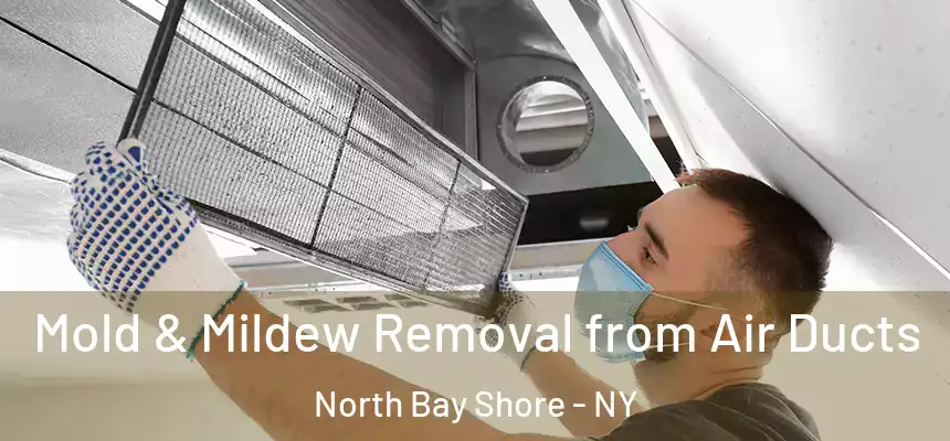  Mold & Mildew Removal from Air Ducts North Bay Shore - NY