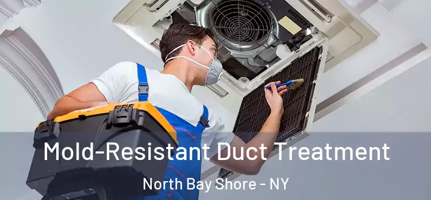  Mold-Resistant Duct Treatment North Bay Shore - NY
