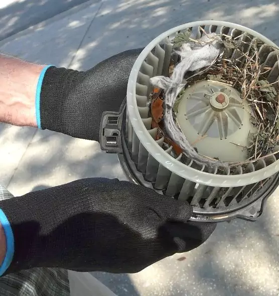 About Air Duct Rat Removal in North Bay Shore, NY