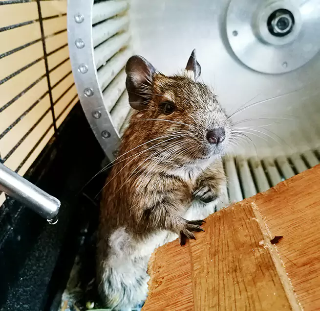 Why Homeowners & Businesses Trust Us North Bay Shore, NY